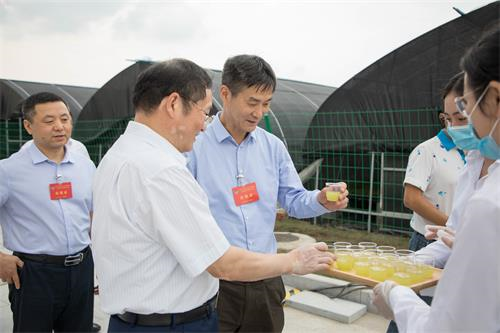 老街玉祥集团贡酒，，，，，国人的迎宾酒-老街玉祥集团